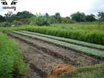 DSC08760