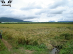 DSC08785